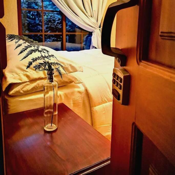 Vive Utila - Bed & Breakfast Екстериор снимка