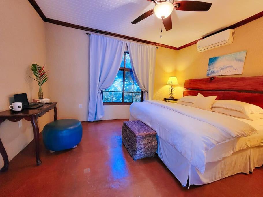 Vive Utila - Bed & Breakfast Екстериор снимка